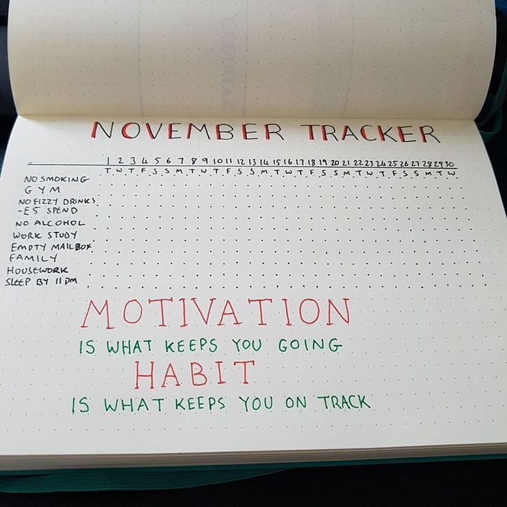 113 Points And 9 Comments So Far On Reddit Habit Tracker Bullet 