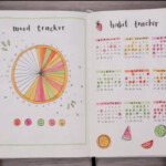 Amanda Rach Lee Mood Tracker Bullet Journal Tracker