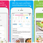 Apps To Help You Eat Healthy And Lose Weight This Summer