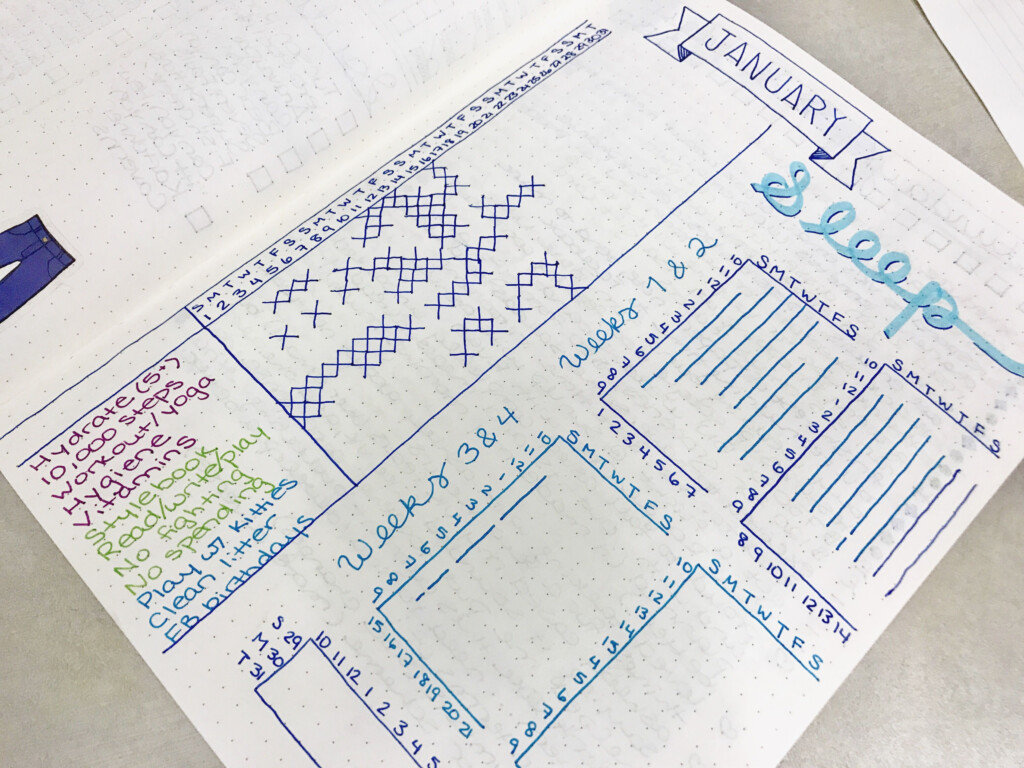 Bullet Journal Habits Tracker Sleep Tracker Monthly Overview 