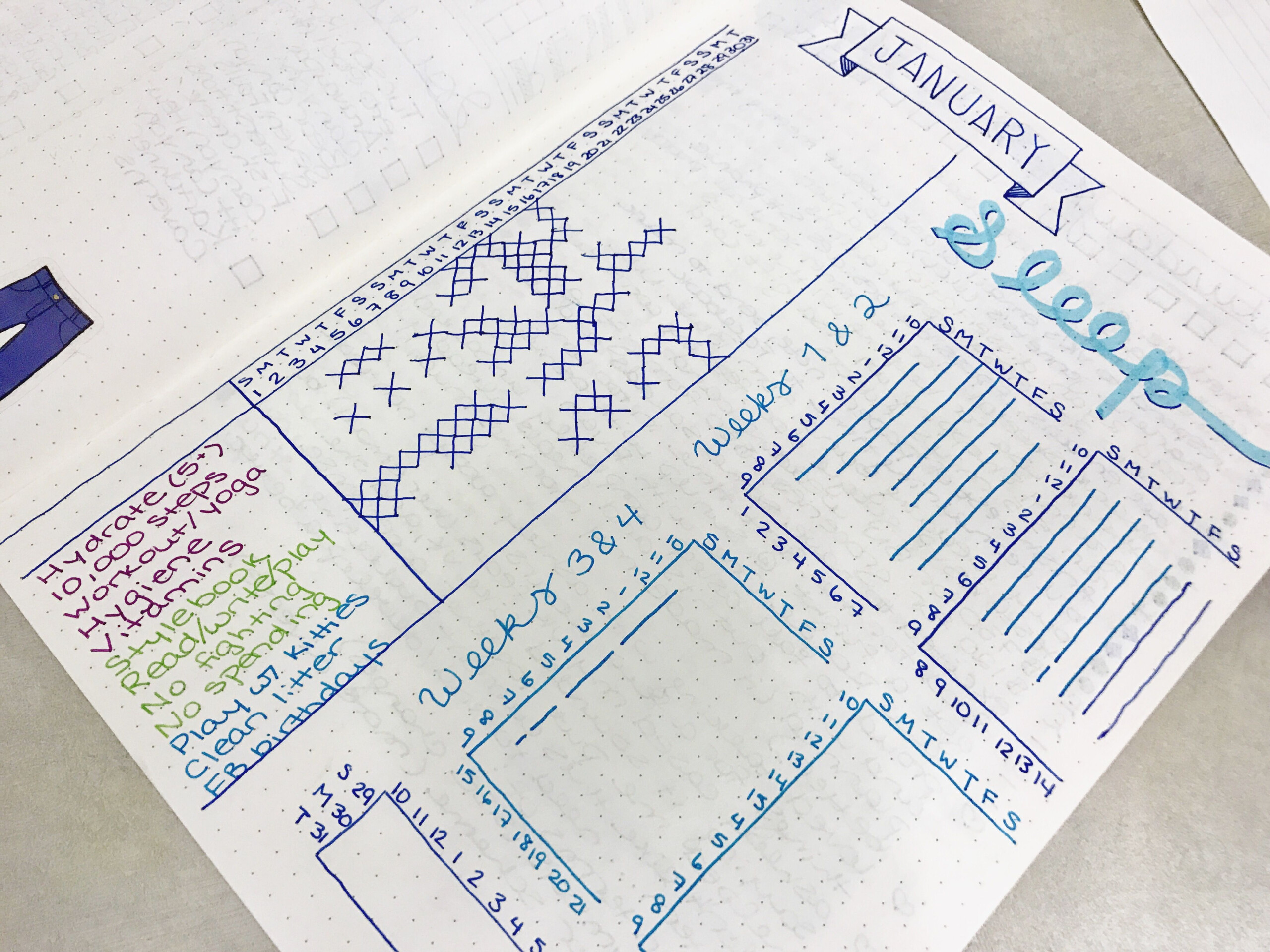 Bullet Journal Habits Tracker Sleep Tracker Monthly Overview