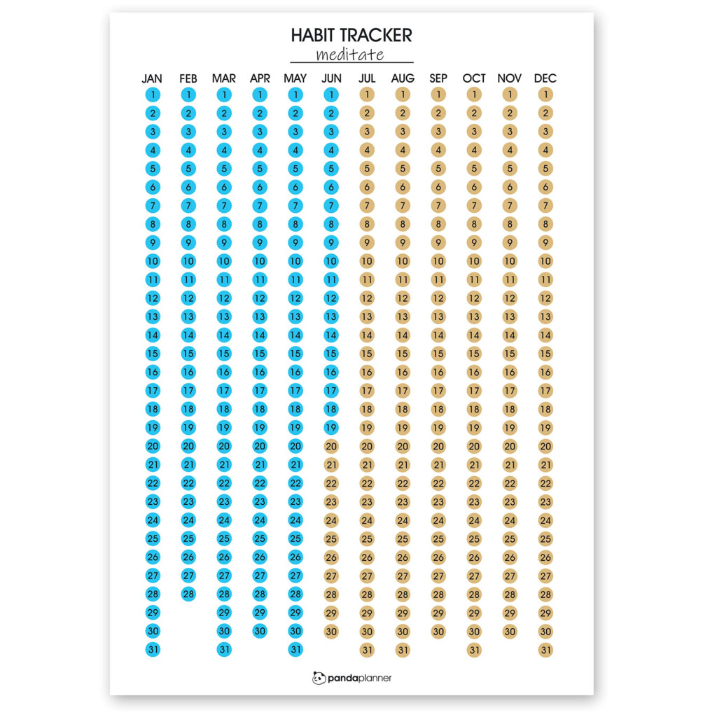 Buy Habit Tracker Calendar By Panda Planner Full Year Scratch Off 