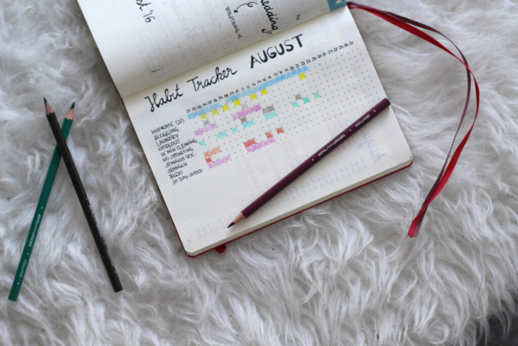 Habit Tracker F r Mehr Disziplin Bullet Journal Pinselleicht 