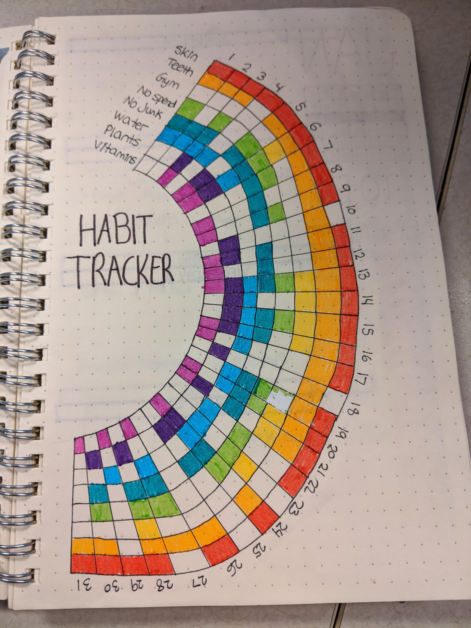 January Habit Tracker Complete Bulletjournal