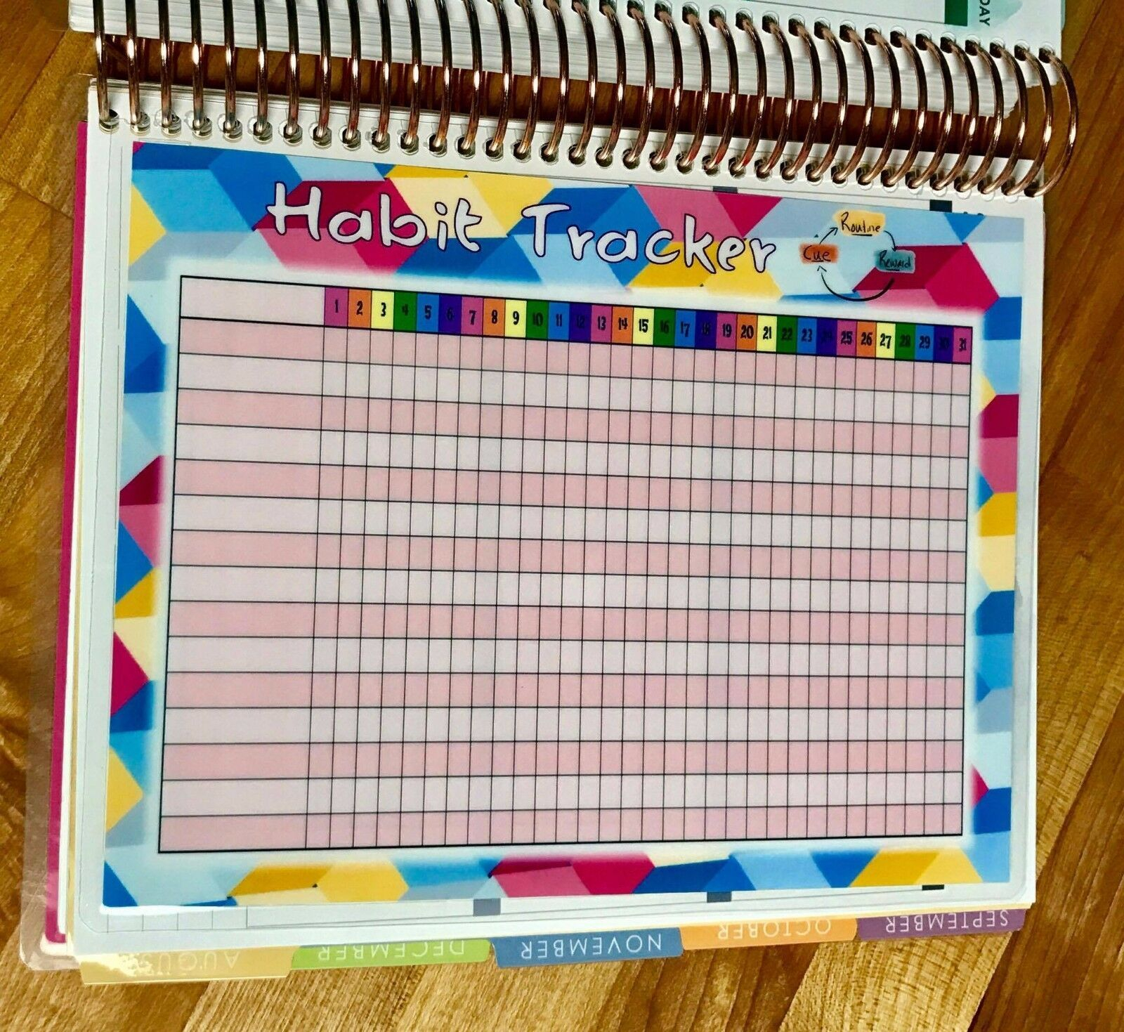 Monthly Habit Tracker Dashboard Insert For Use With Erin Condren 