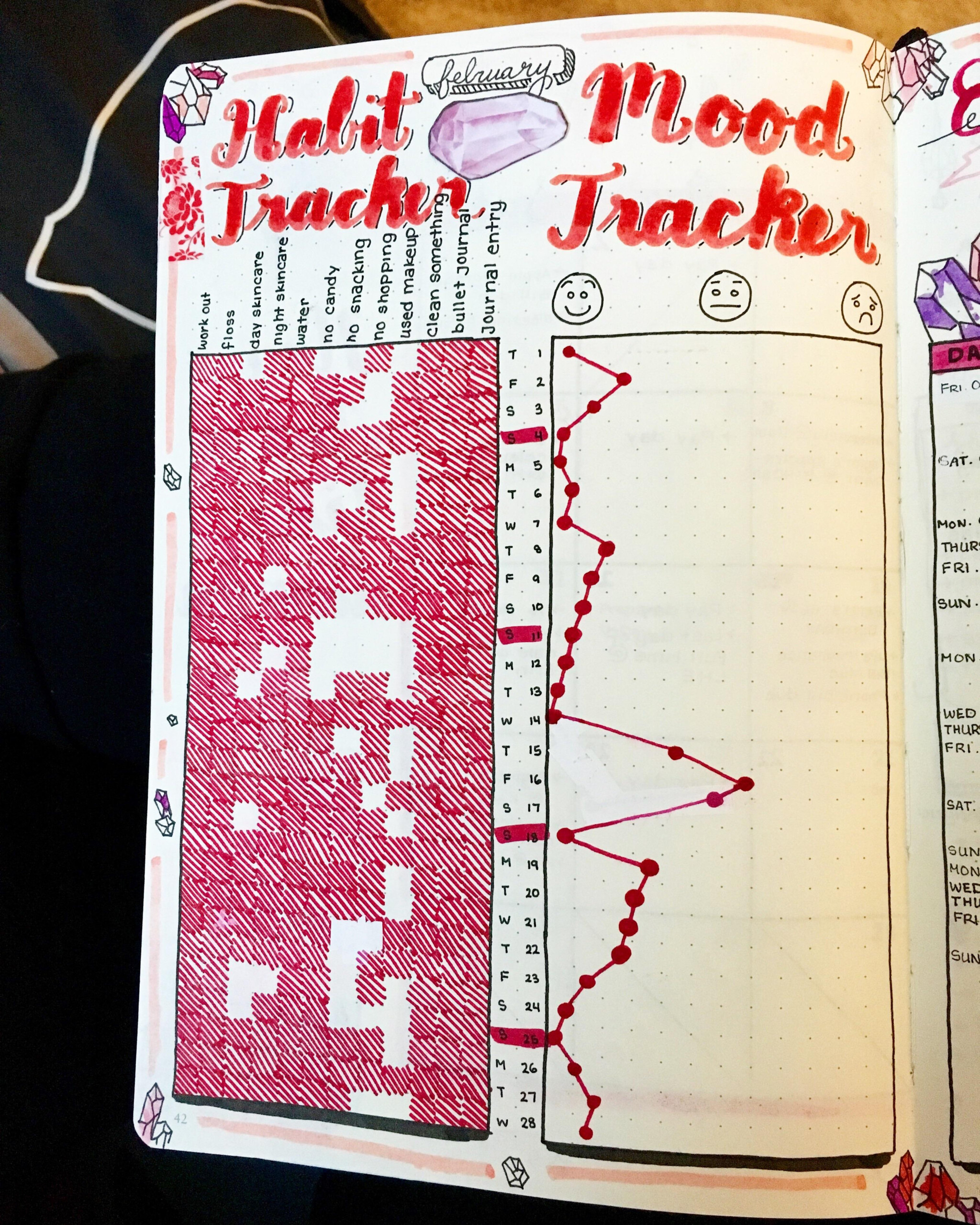 Completed Habit And Mood Trackers For February Bulletjournal