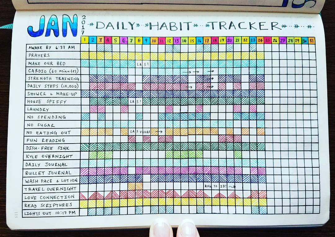 Daily Habit Tracker January 2017 Journal Bullet Journal Habit 