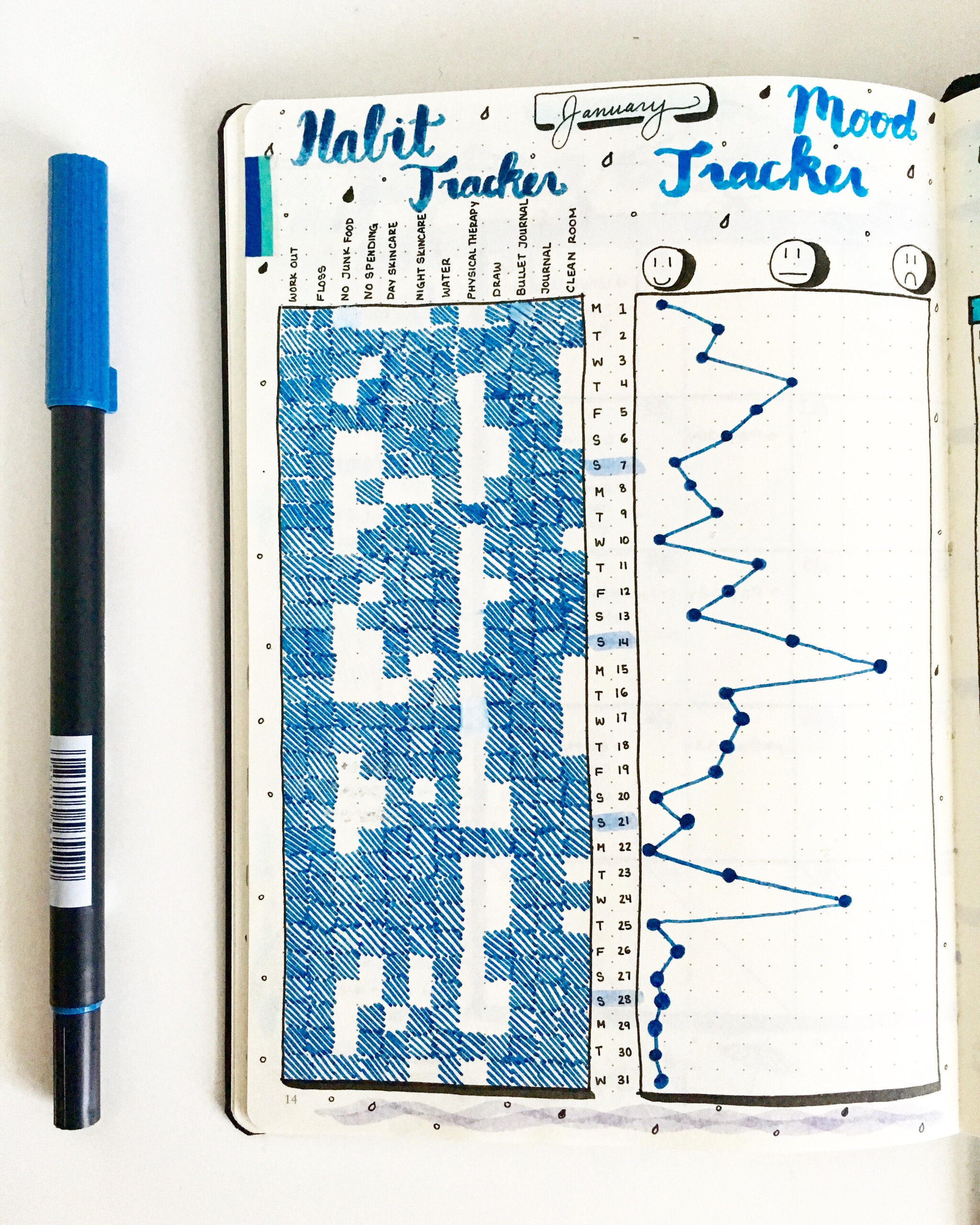 Finished Habit And Mood Trackers For January Bulletjournal