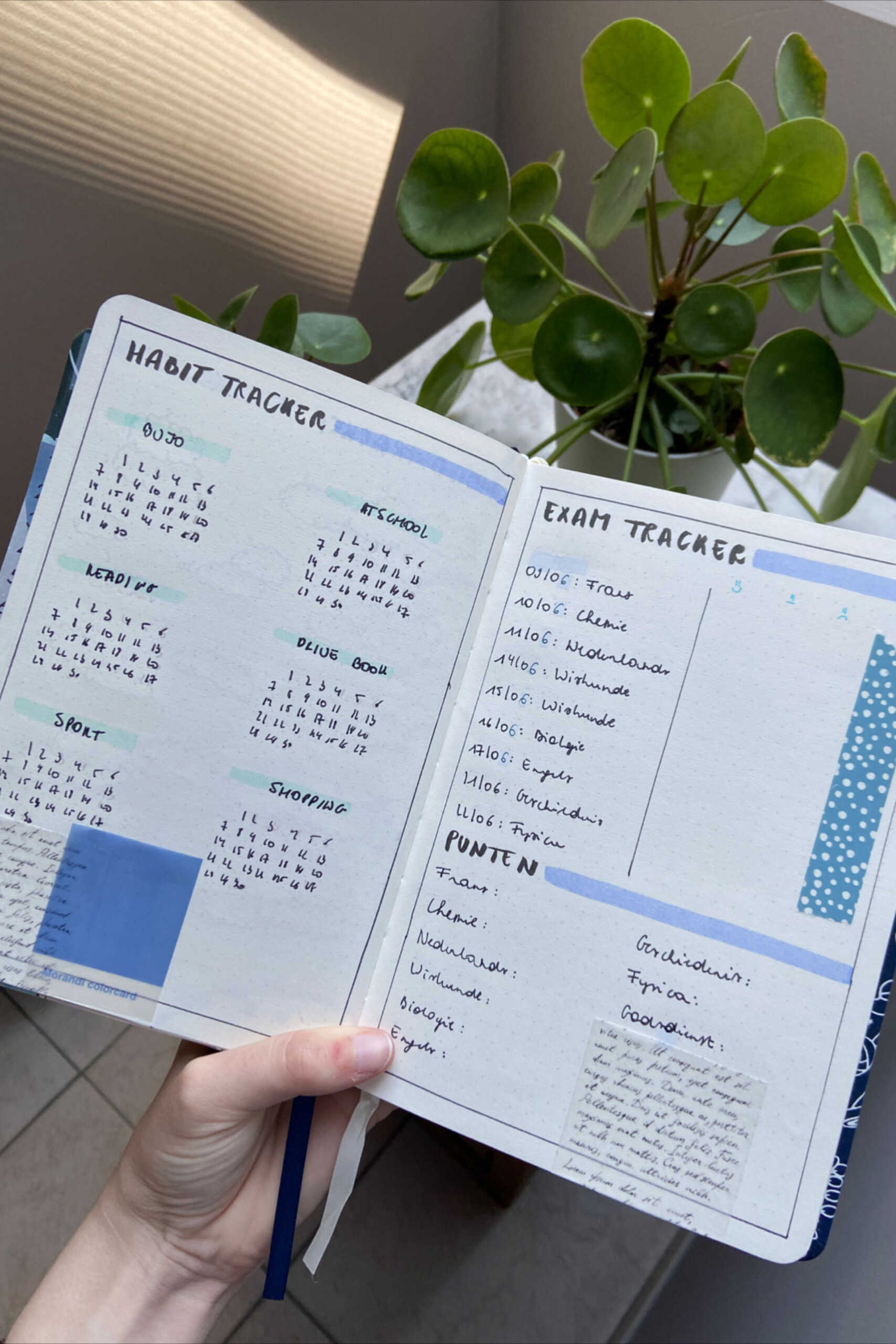 Habit Exam Tracker Blauw