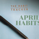 REVIEW OF THE BLUE SKY HABIT TRACKER APRIL HABITS YouTube